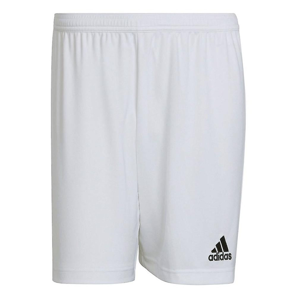 Adidas Entrada 22 Short - HG6295