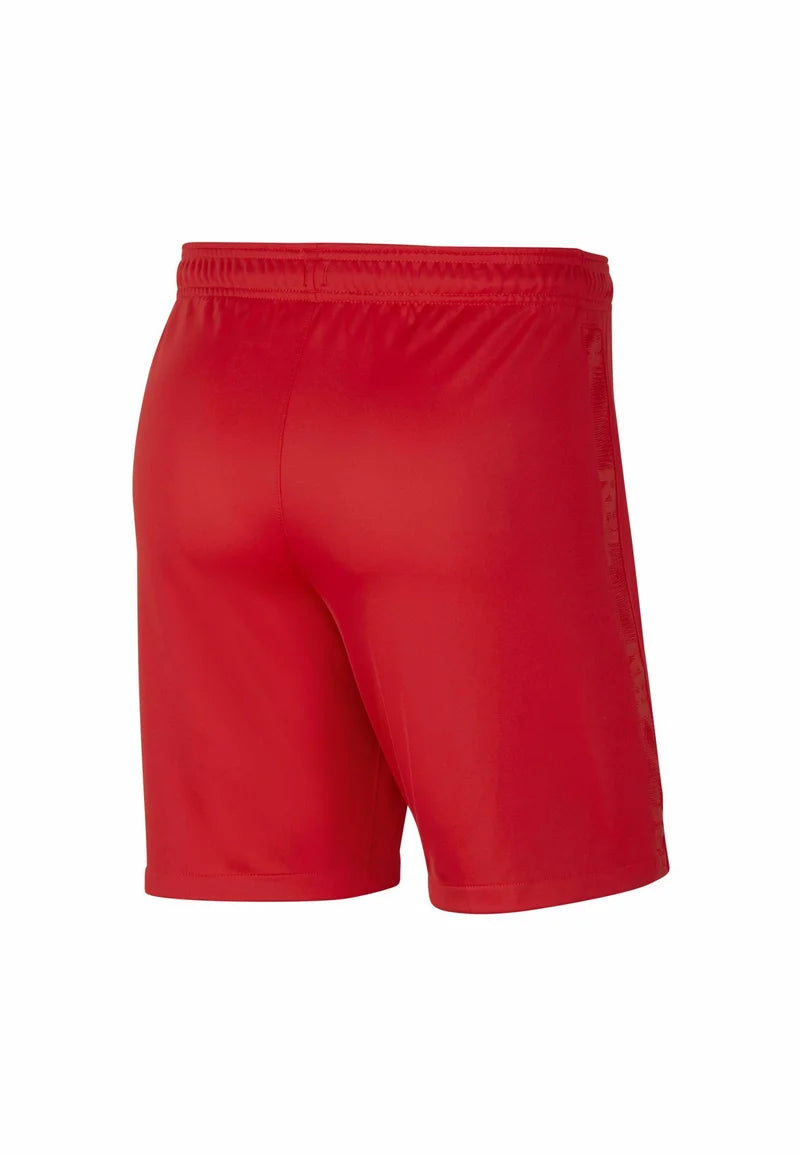 Nike Shorts- 448222-657