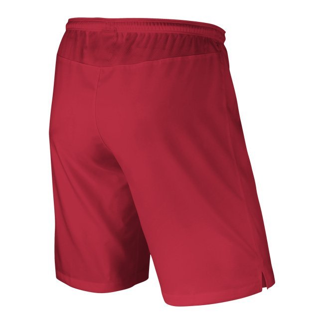 Nike Shorts- 588415-657