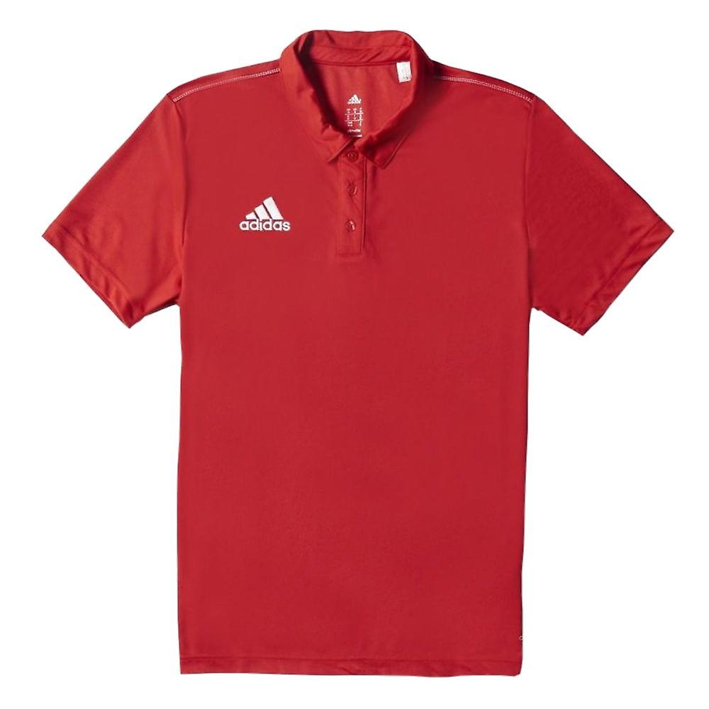 Adidas Core 18 Polo - CV3591