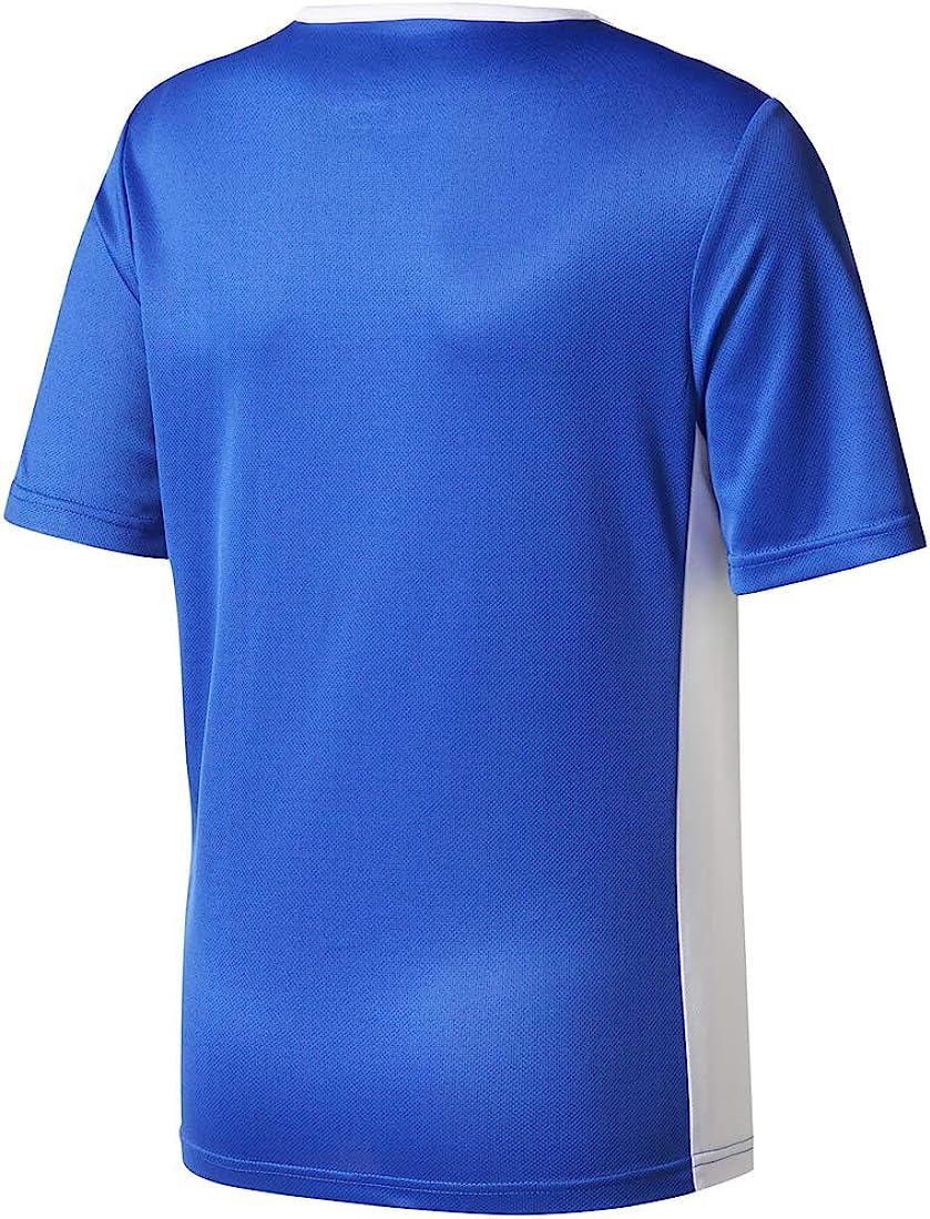 Adidas Men's Entrada 18 Jersey T-Shirt - CF1037