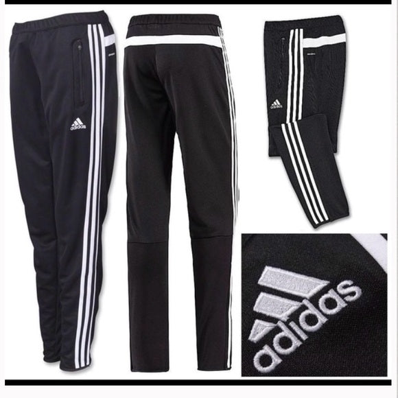 Adidas Cone 14 Trg Pant M64031 Golden Target Sports